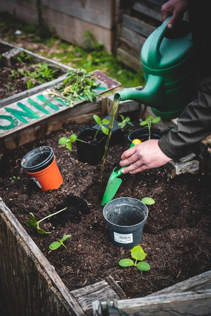 Identifying Common Garden Pests